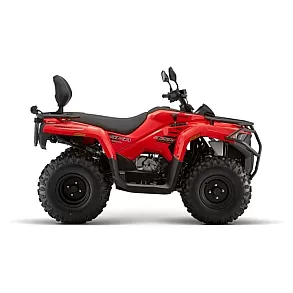 Keturratis QJMOTOR SFA300 (Registruojamas)