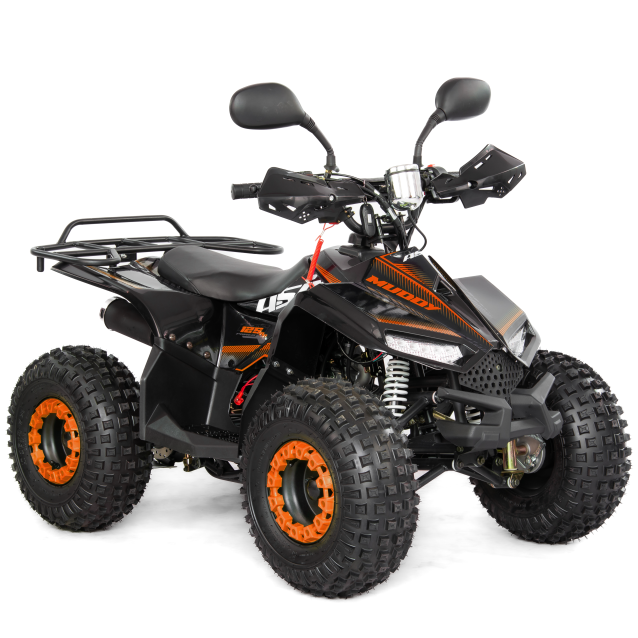 Petrol ATV Asix Muddy 110cc