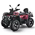 Quad bike ASIX TYTAN 350cc